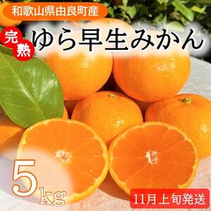 完熟ゆら早生みかん5kg【先行予約：2025年11月上旬発送】