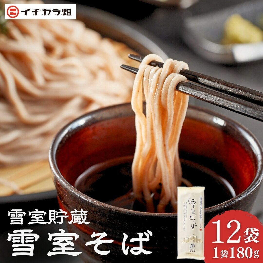 【ふるさと納税】【無農薬栽培の玄そば100％使用】雪室そば 乾麺 180g×12個セット(オーガニック・無農薬栽培) イチカラ畑 【0021-0003-01】