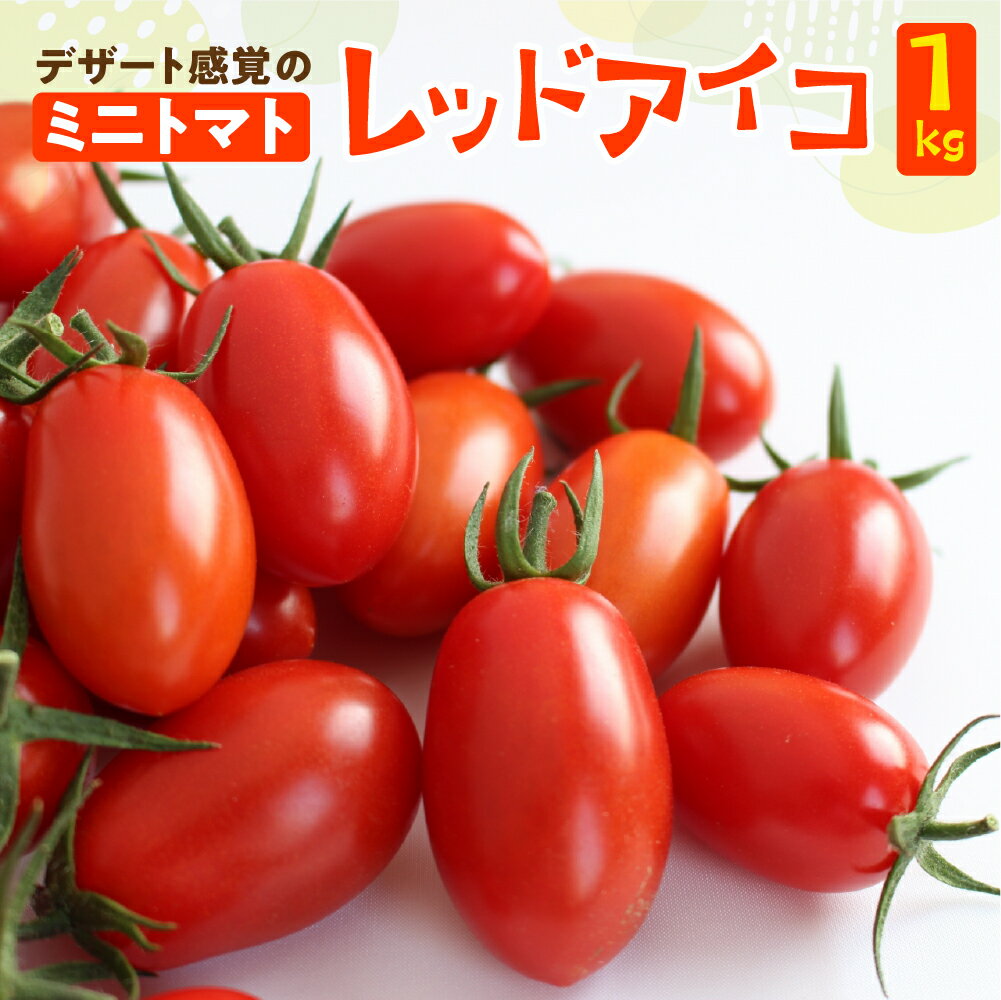 【ふるさと納税】 先行予約　 ≪2025年7月中旬より順次発送≫　産地直送！飛騨下呂のレッドアイコ 1kg トマト ミニトマト とまと 下呂温泉 夏野菜 期間限定 アイコ 6000円 岐阜県 下呂市