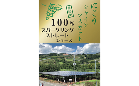 【数量限り】シャインマスカット果汁100%ストレート・スパークリングぶどうジュース2種　各300ml【1359117】