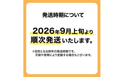 恵水 約 3kg 4～6玉 (茨城県共通返礼品:かすみがうら市) 2026年 マスカット ぶどう 葡萄 ブドウ フルーツ 果物 くだもの 旬 食べ比べ セット 詰め合わせ 国産 産地直送 ギフト 贈答