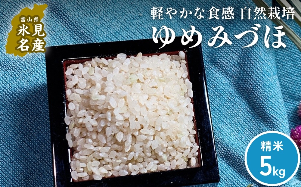 
                  【交響するお米】［精米］自然栽培 ゆめみづほ 5kg（富山県 氷見市 / 令和7年産） |   移住農家が里山から直送 米 白米 ブランド米
                
