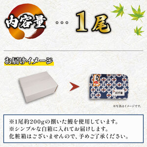 国産鰻の白焼き 1尾 うなぎ ウナギ 鰻 うなぎ うなぎ うなぎ 