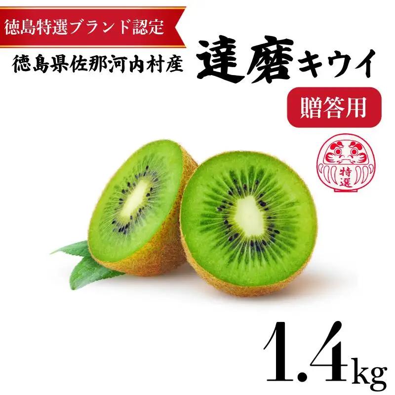 高級 キウイ 8玉 1.4kg 達磨キウイ