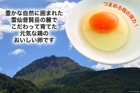 BI025 雲仙たまごLサイズ  80個 (10個入り×8パック)(75個＋割れ補償5個入り) [長崎県 島原市]