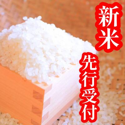 ふるさと納税 新庄市 先行受付 令和8年産　厳選はえぬき(精米)10kg