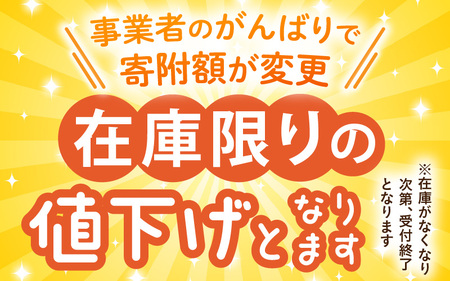 【先行予約】【数量限定】三里浜アンデスメロン 2L以上 × 4玉 【2026年6月下旬より順次発送】 [A-16513]