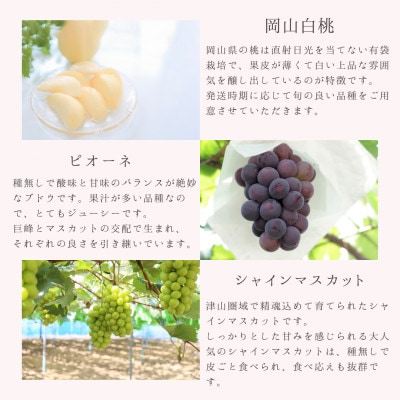 【発送月固定定期便】岡山県産旬のフルーツ定期便全3回【配送不可地域：離島・北海道・沖縄県】