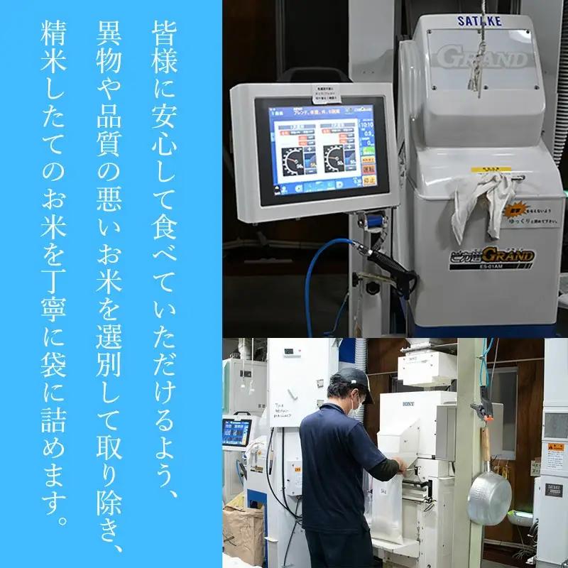 【令和7年産】 はえぬき 無洗米　5kg (5kg×1袋)　山形県庄内産　有限会社 阿部ベイコク　| ブランド米 米 こめ コメ ごはん ご飯 国産 庄内米 美味しい おすすめ 人気 山形県 鶴岡市