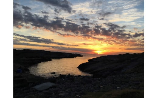 B39-005 城ヶ島港屋　素泊まりペア宿泊券