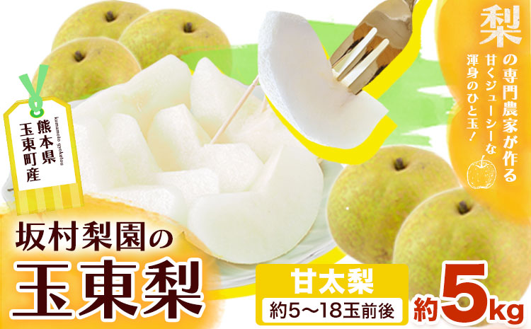 梨 なし 甘太梨 約5kg(5～18玉前後) 坂村梨園 《8月中旬-11月上旬頃出荷》熊本県 玉東町 秋 旬 梨 フルーツ 果物 期間限定---gkt_skmr_3_5kg---