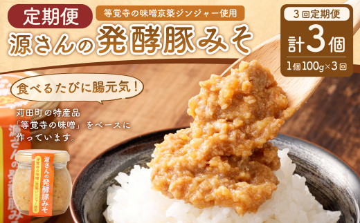 【3ヶ月定期便】源さんの発酵豚みそ 100g×1個 計3個 豚肉 豚 ブタ ぶた 肉 豚味噌 味噌 味噌漬け ミソ漬け 発酵食品 和風 ご飯のお供 調味料 定期便 3回 福岡県 苅田町