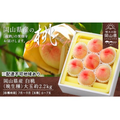 岡山県産　白桃(晩生種)約2.2kg(大玉6～7玉)【配送不可地域：離島】