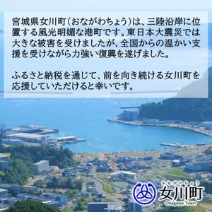 【返礼品なし】女川町への応援寄附(一口1,000円)
