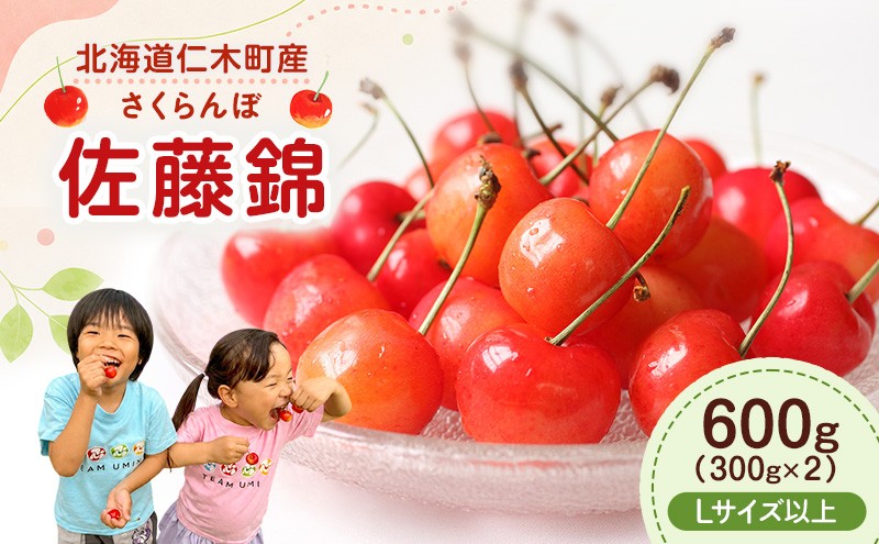 
                  2026年発送 北海道 仁木町産 さくらんぼ 佐藤錦 600g （300g×2） L以上　旬の果物 サクランボ チェリー フルーツ 果物 果物類  仁木町 仁木 [UMIX FARM]
                