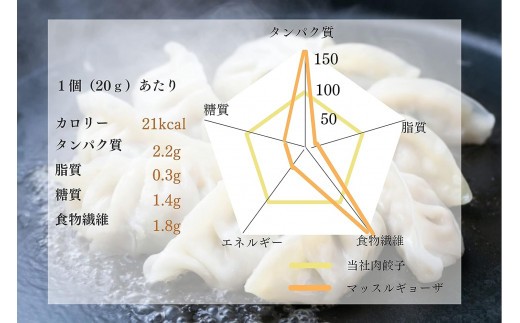 MUSCLE GYOZA ~マッスルギョーザ　～冷凍餃子40個入り1袋 | 餃子 ギョーザ ダイエット マッスルギョーザ 長野県 松本市 信州産 ふるさと納税