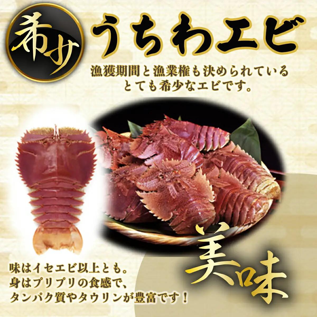 ウチワエビ(大)×1尾＆伊勢海老×1尾の豪華セット　 S218 [S-24] 【株式会社森海家】