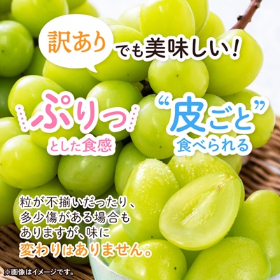 2026年発送【訳あり】青森市産シャインマスカット 2房(1kg以上)【配送不可地域：離島・沖縄県】【1492539】