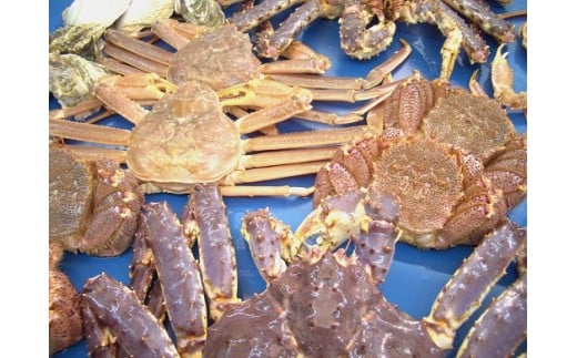 お刺身も出来る！生冷凍ズワイガニ爪 約1kg【0303302】