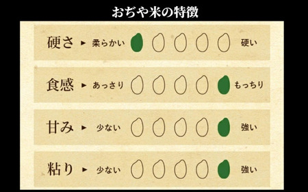 【定期便 毎月 おぢや米 5kg×8ヶ月】魚沼産コシヒカリ 魚沼特A評価地域