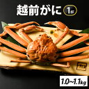 【ふるさと納税】先行予約【市場直送】冬の王者！茹で越前がに1000-1100g　1杯【11月中旬より順次発送、年末年始対応不、】 [L-065041]