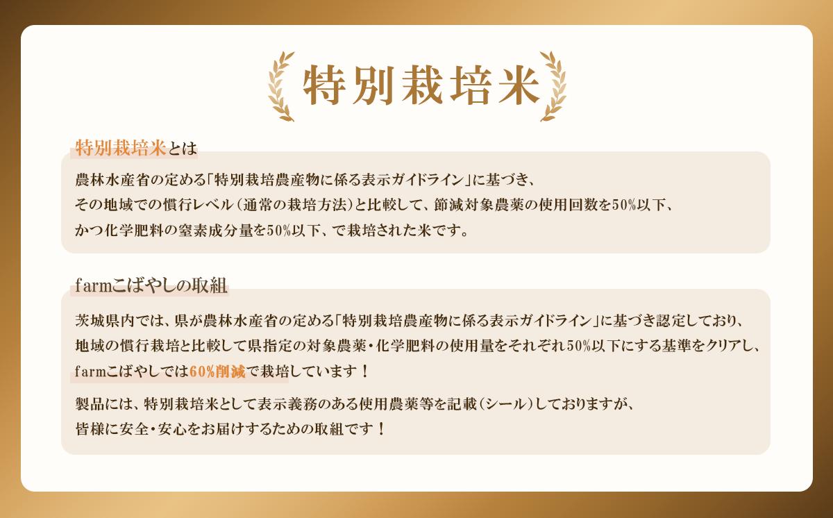 【 1月出荷 】令和7年産 茨城県産 特別栽培米・ミルキークイーン 2kg ( 真空パック )【 令和7年 精米 2kg 真空パック ミルキークイーン 米 お米 白米 人気 おすすめ もちもち 特別栽