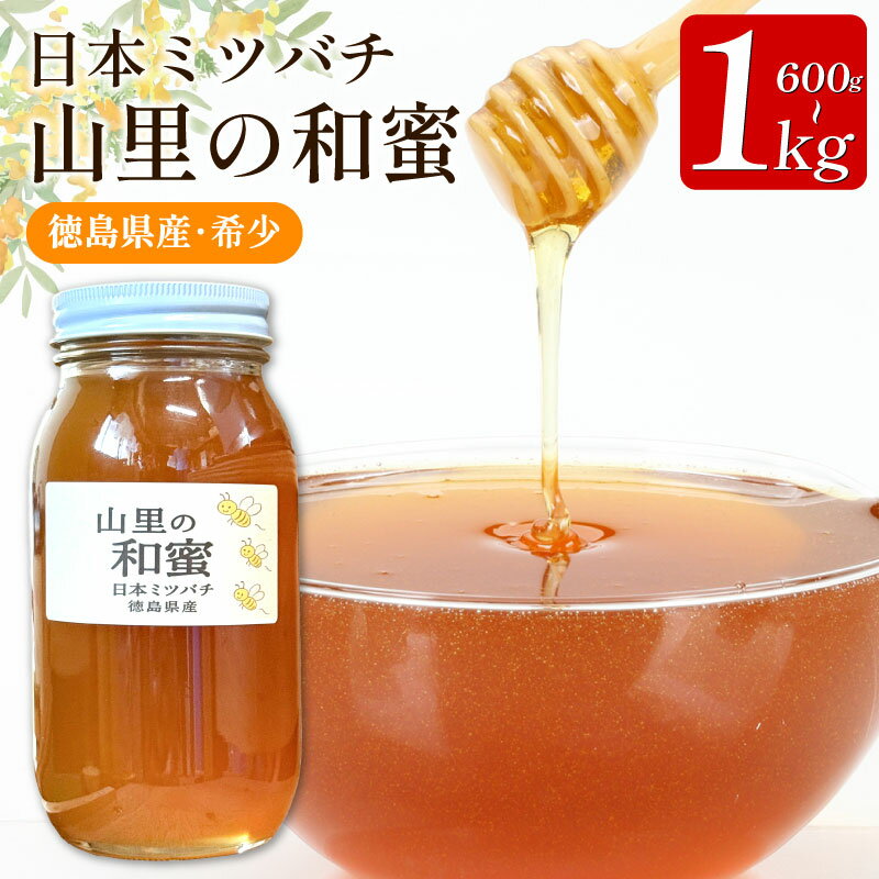 【ふるさと納税】 はちみつ 国産 純粋 日本みつばち 600g 1kg 非加熱 蜂蜜 ニホンミツバチ 純粋はちみつ 生はちみつ 百花はちみつ 百花蜂蜜 完熟 和蜜 天然 ハニー 瓶 美容 健康 ヨーグルト パンケーキ 保存食 非常食 防災 菓子 産地直送 徳島県 三好市 みよし 森清秀