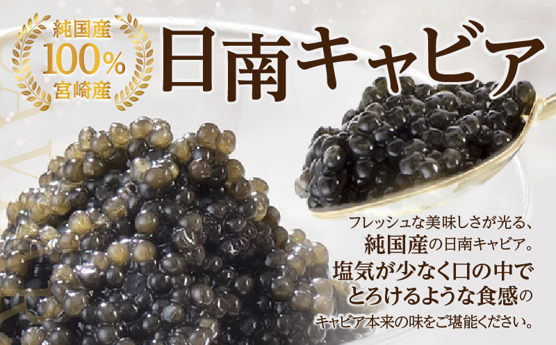 スターレットキャビア 計20g 魚卵 キャビア 国産 小粒 魚介 魚貝 食品 加工品 希少 コチョウザメ 世界三大珍味 海産物 おすすめ ご褒美 パーティー 前菜 オードブル おつまみ グルメ ギフト