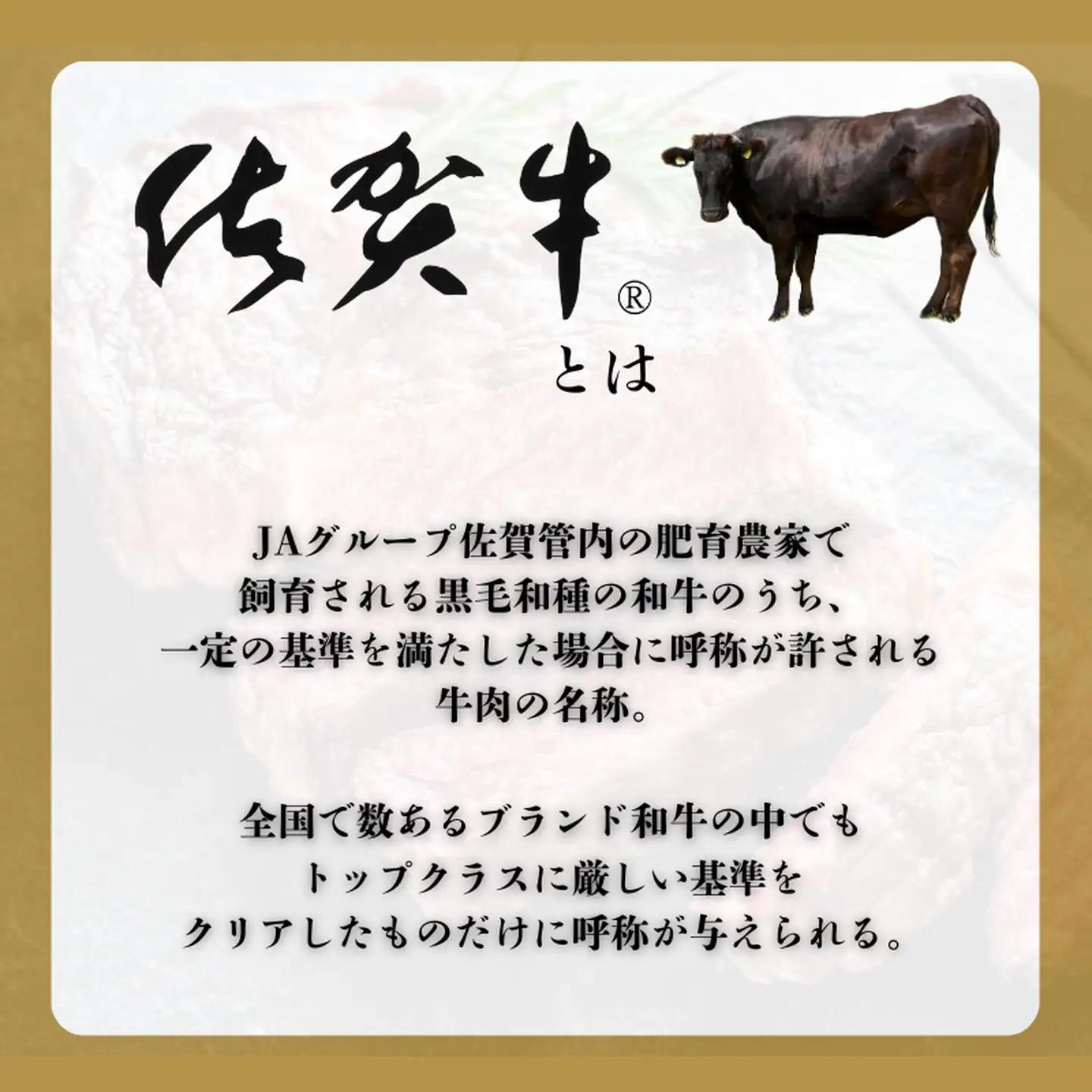 ヒレ シャトーブリアン【定期便10回】佐賀牛ヒレシャトーブリアン 200g×5枚：D200-003