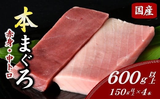 
                  国産本まぐろ 中トロ 赤身 冷凍 短冊 セット 600g以上 ( まぐろ マグロ 鮪 本まぐろ 刺身 刺し身 お刺身 冷凍 国産まぐろ 本マグロ 中とろ トロ 赤身 人気 おすすめ 2万円 20000円 ) 【2-134】
                