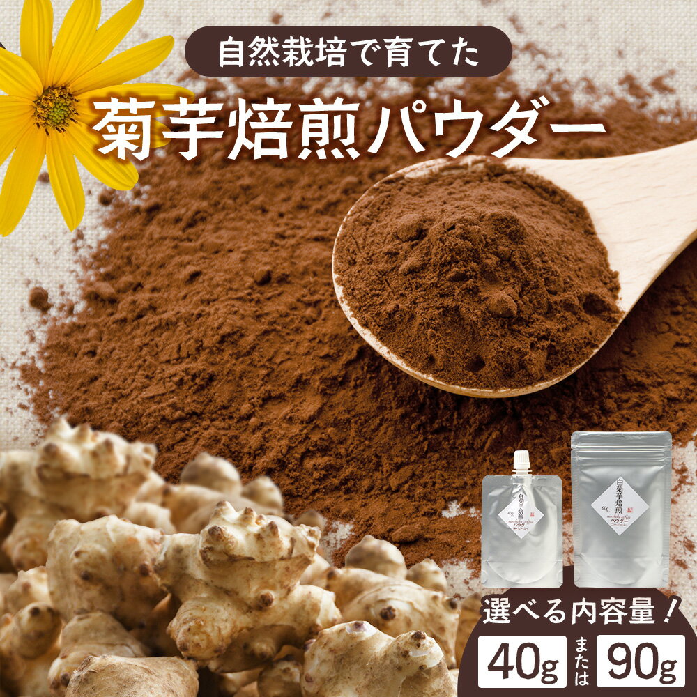 【ふるさと納税】選べる内容量！（40g・90g）白色菊芋焙煎 パウダー｜ コーヒー 菊芋 パウダー ノンカフェイン 野菜茶 きくいも お茶 焙煎 ギフト グルメ お取り寄せ 鹿児島県 南大隅町 島子農園