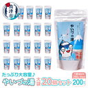 【ふるさと納税】 入浴剤 やいづの湯 大袋 温泉の素 焼津 200回分 約250g×20個 計量スプーン入り 大容量 温泉 やいちゃん a48-004