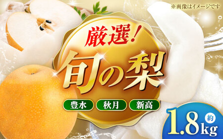 【先行予約】厳選おまかせ梨 約1.8kg 梨 豊水梨 秋月梨 新高梨 果物 フルーツ 【日本フルーツ株式会社】[ZFJ065]