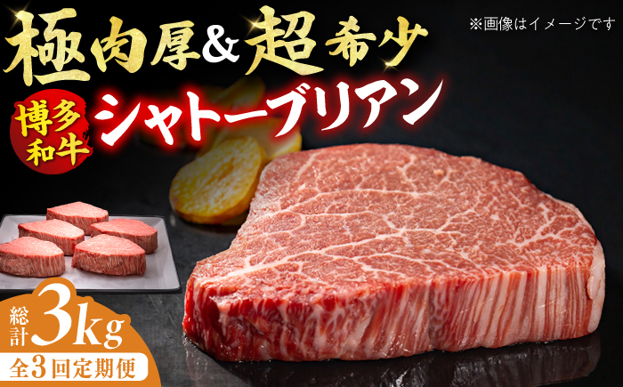 
【全3回定期便】博多和牛 ヒレ シャトーブリアン 200g×5枚 牛肉 ステーキ お歳暮 お中元 贈答用 シャトーブリアン ヒレ ヒレステーキ 赤身 父の日 母の日 敬老の日 広川町 / 久田精肉店株式会社 [AFBV030]
