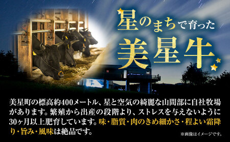 牛肉 ステーキ 肉 美星牛 食べ比べセット 1kg 美星ミート《90日以内に発送予定(土日祝除く)》岡山県 浅口市 ステーキ肉 牛肉 牛 厳選 霜降り 冷凍 食べ比べ セット 送料無料