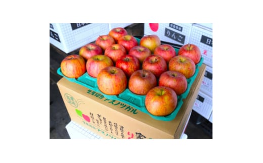 ＜25年12月出荷予定＞平均糖度13度以上! サンふじ 約5kg 訳あり【1612827】
