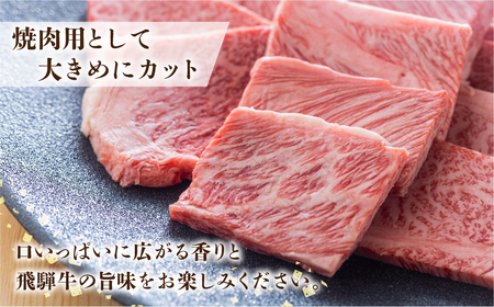 【2週間～発送】飛騨牛 A5等級 焼肉用 霜降り 700g 大判 訳あり 焼き肉 BBQ 肉 牛肉 お肉 和牛 冷凍 霜降り A5等級 25000円 [S427]