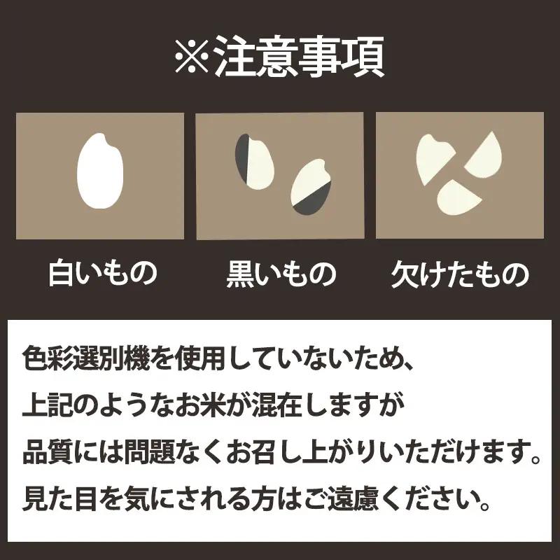 米 精米 松山ふるさと米 令和8年産 20kg 【OCF0081_x】