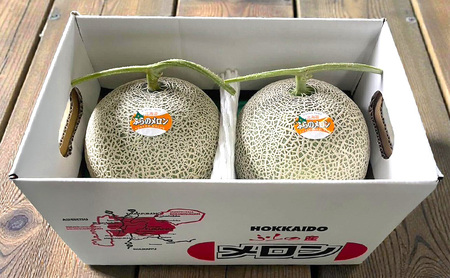 富良野メロン 赤肉 フルーツ 富良野メロン【2玉 約4kg以上】先行予約