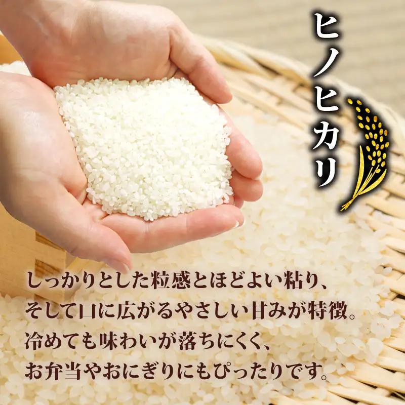 新米 令和8年産 ヒノヒカリ 5kg 米