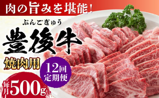 【全12回定期便】おおいた豊後牛 焼肉用 500g 日田市 / 株式会社MEAT PLUS　牛 うし 黒毛和牛 和牛 豊後牛 [AREI100]