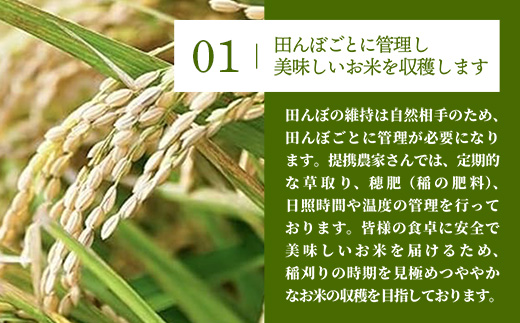 令和7年産【彩のきずな】玄米10kg 色彩選別済 Brown Rice - お米 米 ごはん 玄米 10kg 埼玉県 幸手市