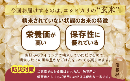 【先行予約】【令和7年産・新米】コシヒカリ 玄米 20kg / 米 こしひかり コシヒカリ 福井県 新米 一等米 玄米 あわら市 福井県 ※2025年9月下旬より順次発送予定 [aw096-d001]
