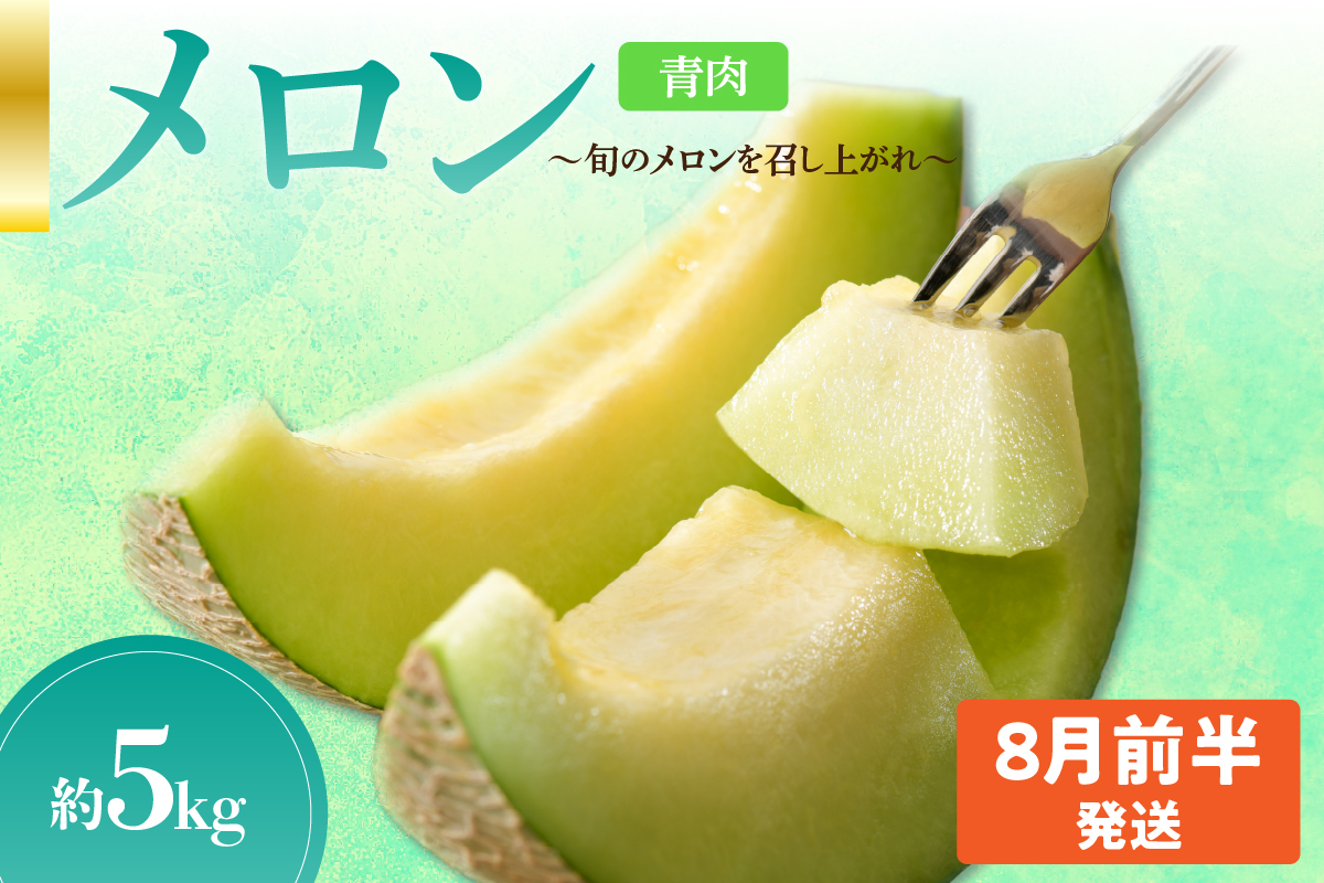 先行予約【2026年8月前半発送】【秀～優品】津軽平野のメロン 約5kg程度(青肉)【青森メロン】
