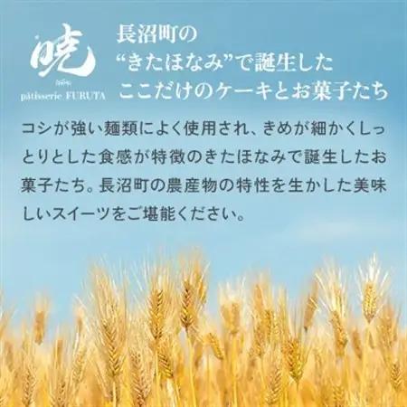 【さっぽろneoチーズケーキグランプリ受賞店・暁】いちごの涙12個入 ふんわり苺のムース【配送不可地域：離島】【1687560】