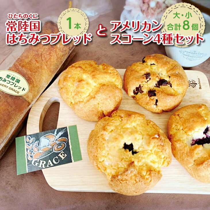 【ふるさと納税】常陸国（ひたちのくに）はちみつブレッドとアメリカンスコーン4種（大・小）セット【ベーカリー パン 蜂蜜 ハチミツ 国産はちみつ おやつ 食事 セット 詰め合わせ 卵不使用 焼き菓子 水戸市 水戸 茨城県 冷凍 20000円以内 2万円以内】（DD-7）