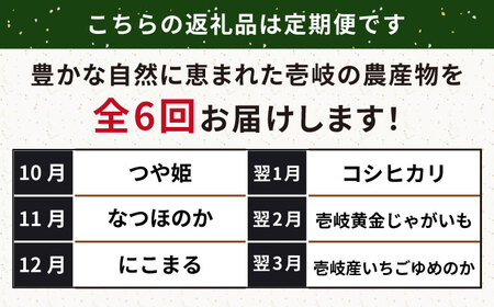 【全6回定期便】壱岐産農産物定期便《壱岐市》【壱岐市農業協同組合】米 コシヒカリ じゃがいも いちご 野菜セット [JBO159]