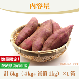 訳あり さつまいも 5kg 生いも 自然栽培  紅はるか さつまいも