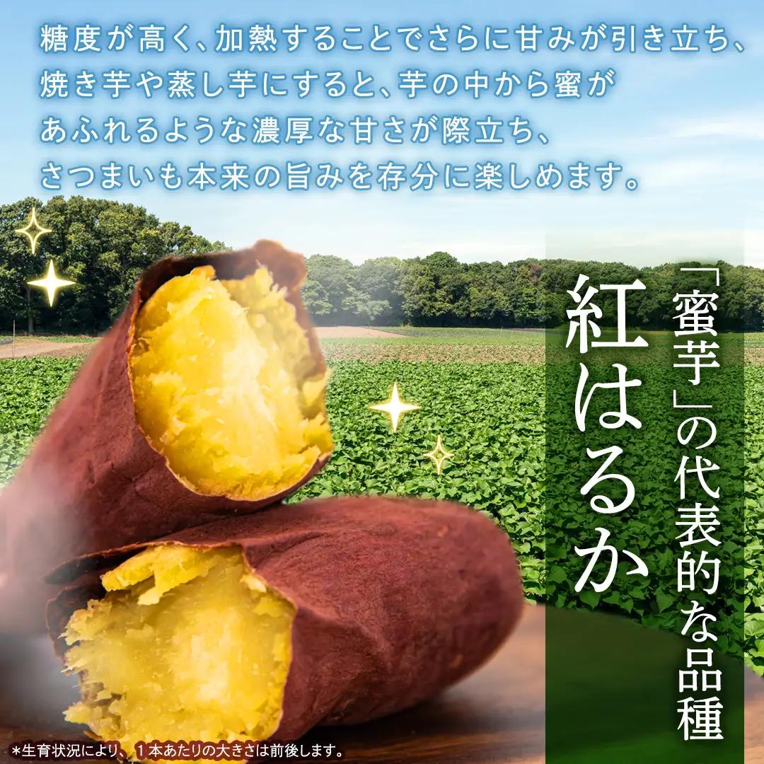 紅はるか 約 2.5kg （6回 定期便 ）（茨城県共通返礼品 [さつまいも]：行方市産）