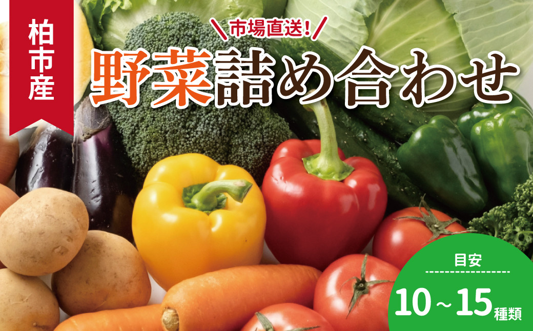 
            柏市場直送野菜詰め合わせセット 〈 新鮮 旬 野菜セット 国産 千葉県産 柏市産 おいしい おまかせ 一人暮らし 父の日 母の日 プレゼント 贈り物 お取り寄せ 取り寄せ おすすめ おススメ 大量 産地直送 〉
          
